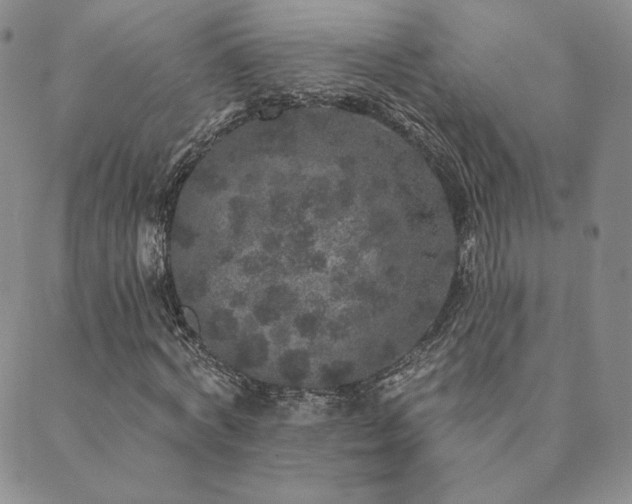 X0000089880772200706281349