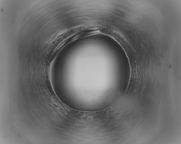 X0000089880773200706281349