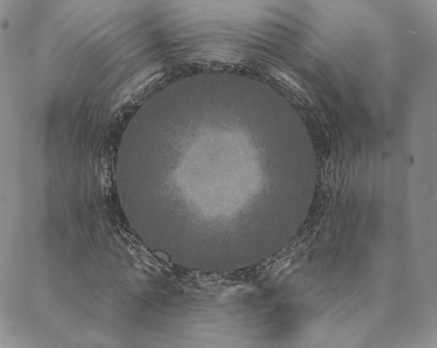 X0000089880774200706281349