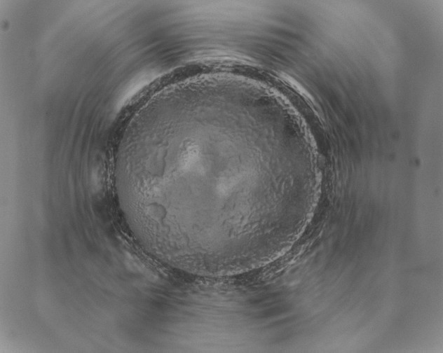 X0000089880775200706281349