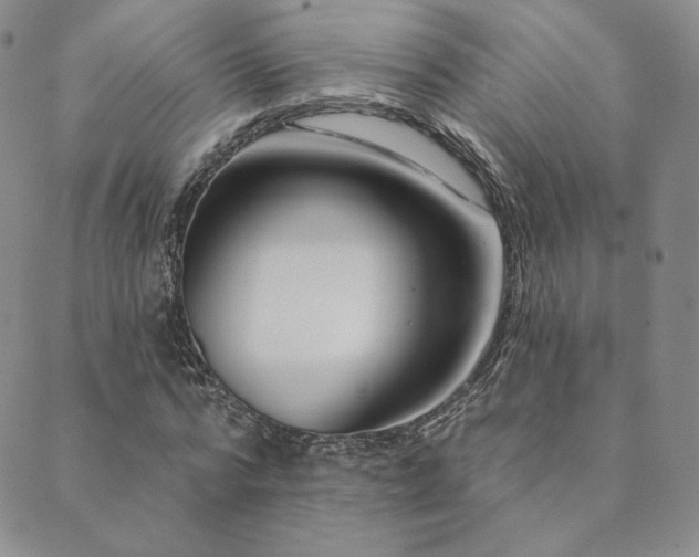 X0000089880776200706281349