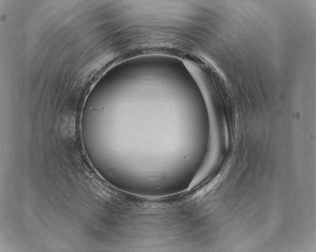 X0000089880777200706281349