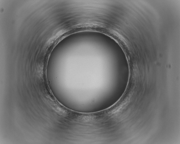 X0000089880778200706281349