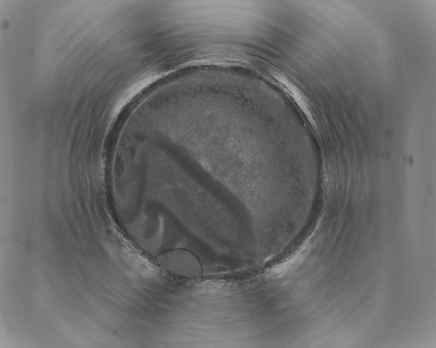 X0000089880779200706281349