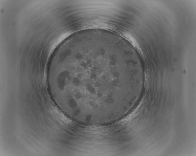 X0000089880780200706281348