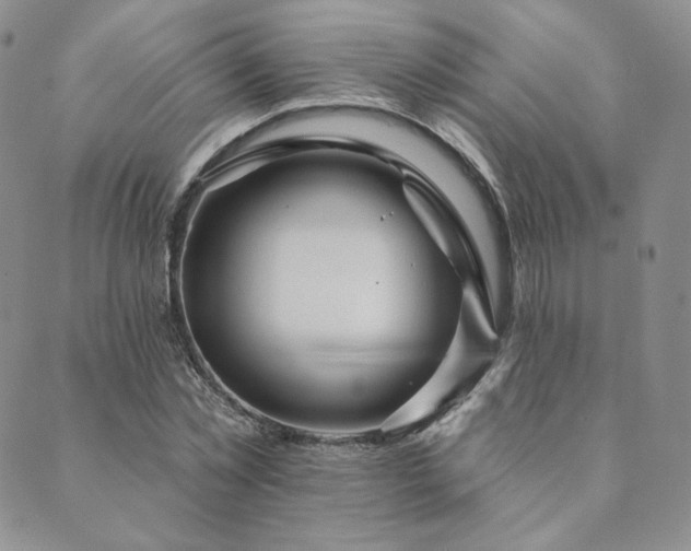 X0000089880781200706281348