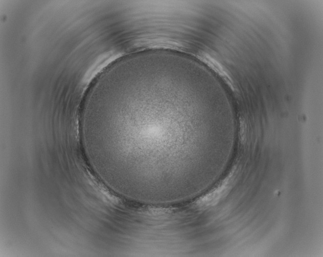 X0000089880782200706281348