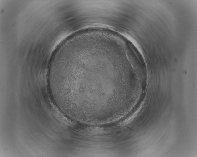 X0000089880783200706281348