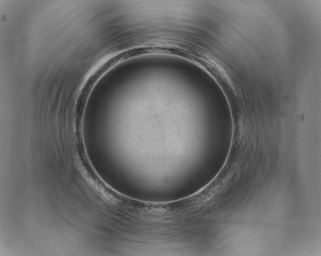 X0000089880784200706281348