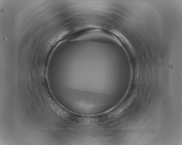 X0000089880785200706281348