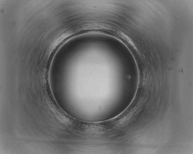 X0000089880786200706281348