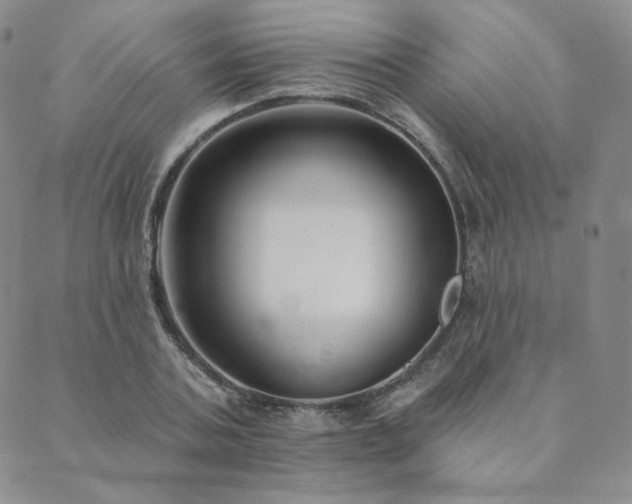 X0000089880787200706281348