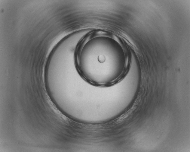 X0000089880788200706281348