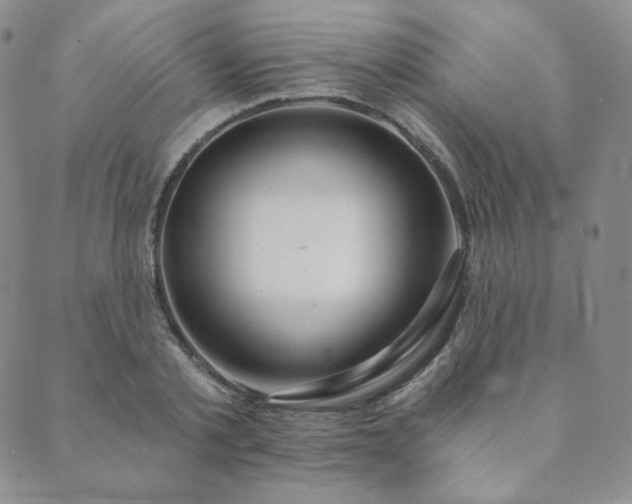 X0000089880789200706281348