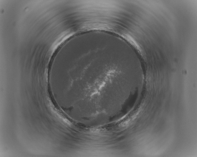 X0000089880790200706281348