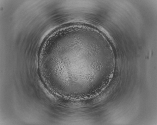 X0000089880791200706281348