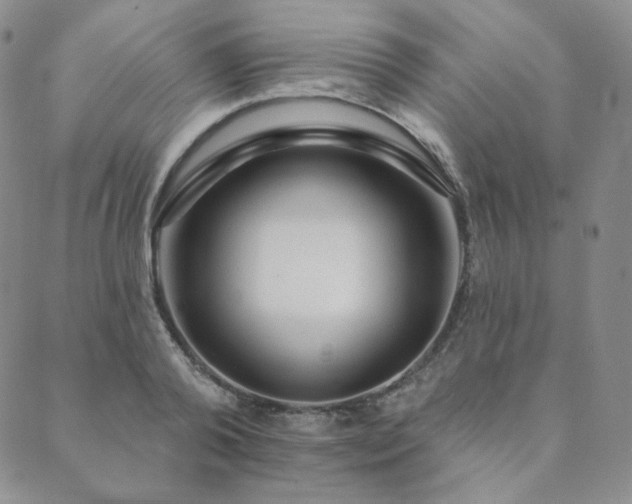 X0000089880792200706281348