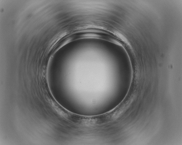 X0000089880793200706281348