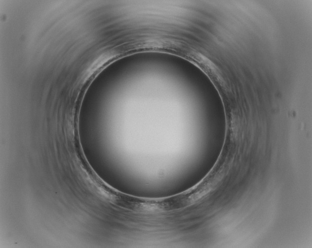 X0000089880794200706281348