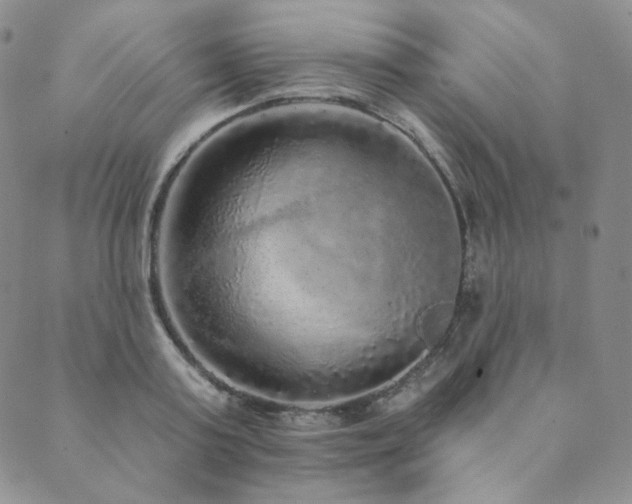 X0000089880795200706281348