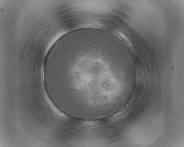 X0000089880796200706281348