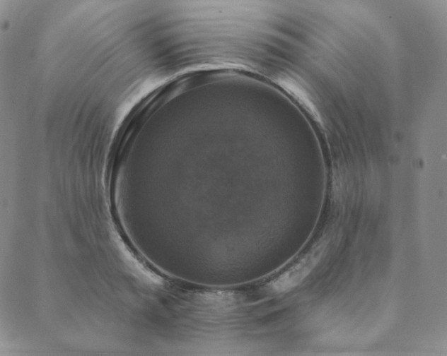 X0000089880797200706281348