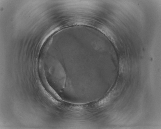 X0000089880798200706281348