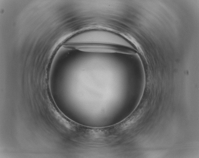 X0000089880799200706281348