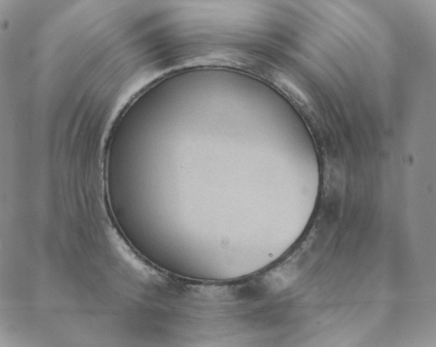 X0000089880800200706281348