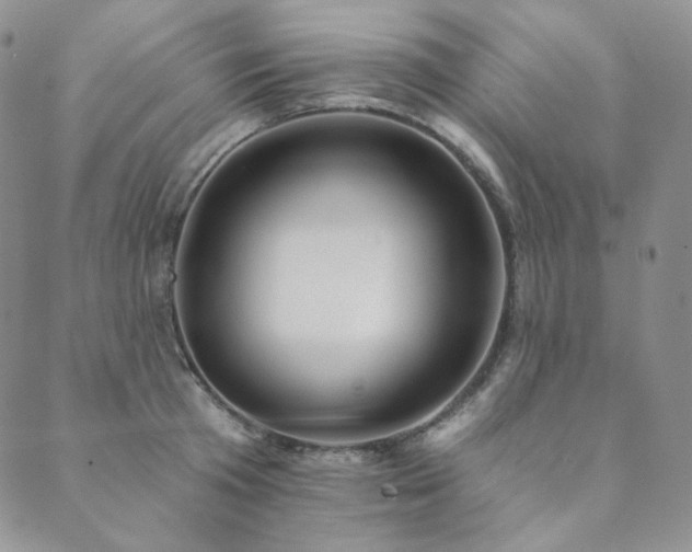 X0000089880801200706281348