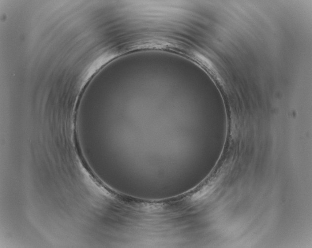 X0000089880802200706281348