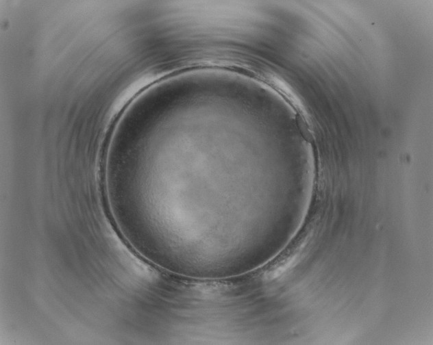 X0000089880803200706281348