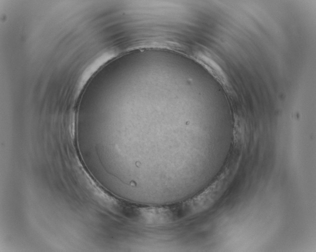 X0000089880804200706281348