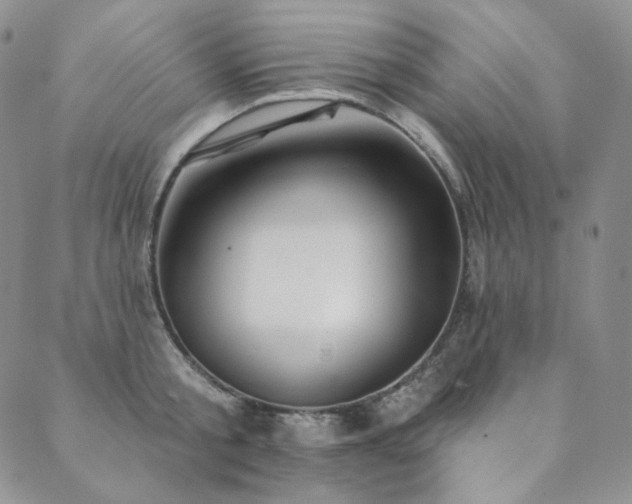 X0000089880805200706281348