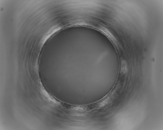 X0000089880806200706281348