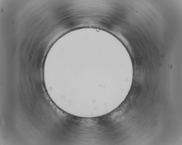 X0000089880807200706281348