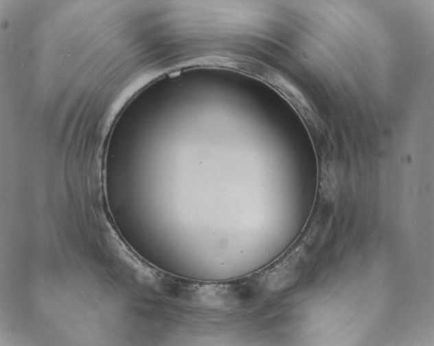 X0000089880808200706281348