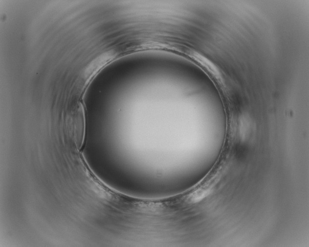 X0000089880809200706281348