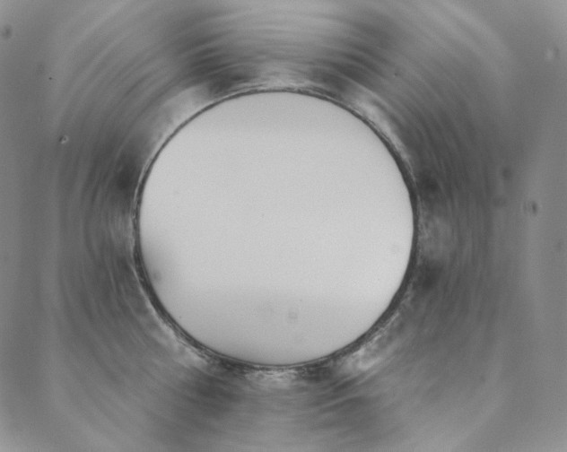 X0000089880810200706281348