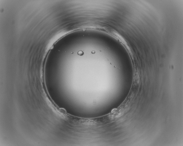 X0000089880811200706281348