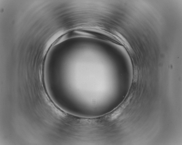 X0000089880812200706281348