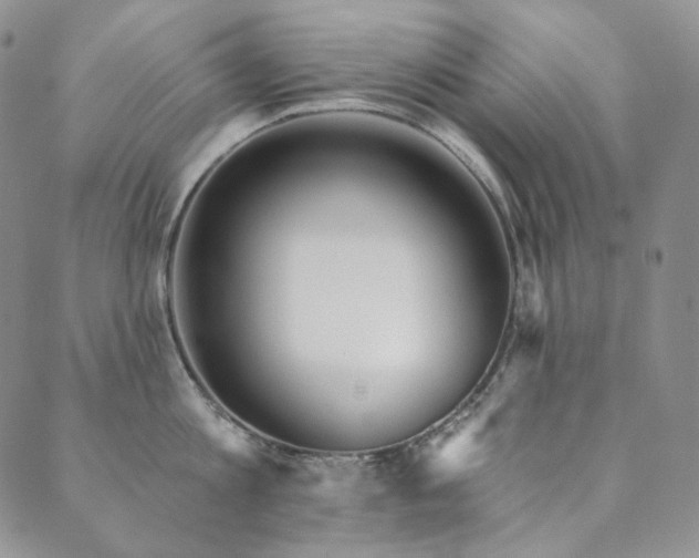 X0000089880813200706281348