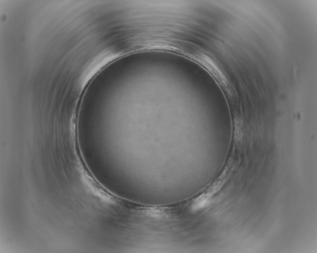 X0000089880814200706281348