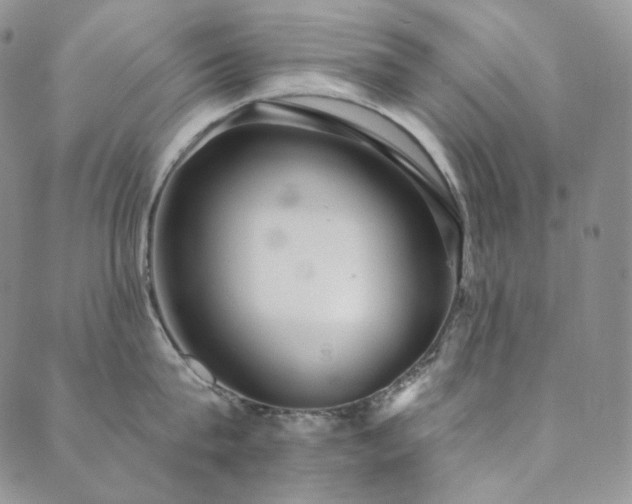 X0000089880815200706281348