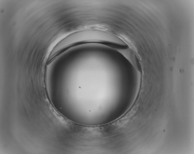 X0000089880816200706281348