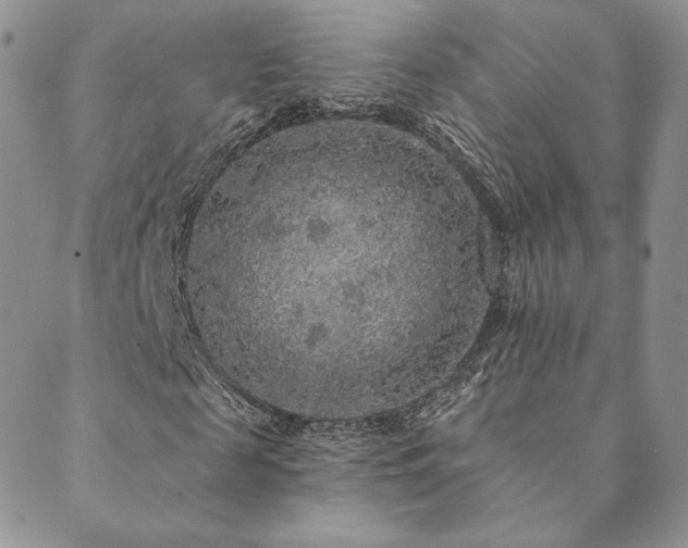 X0000089880817200706281347