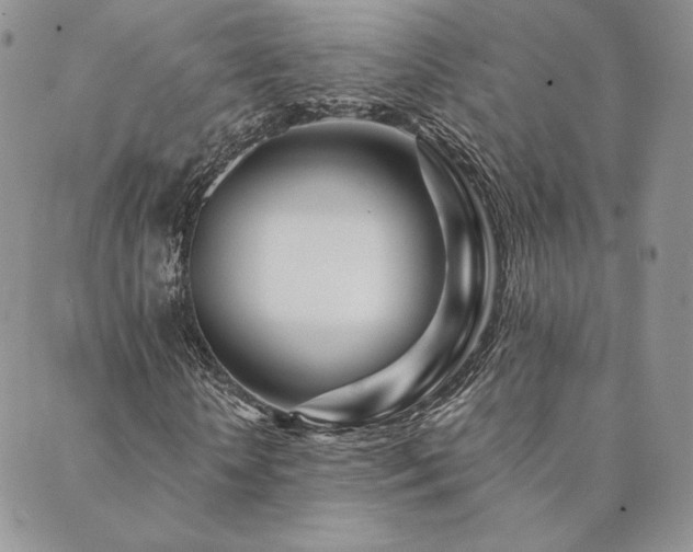 X0000089880818200706281347