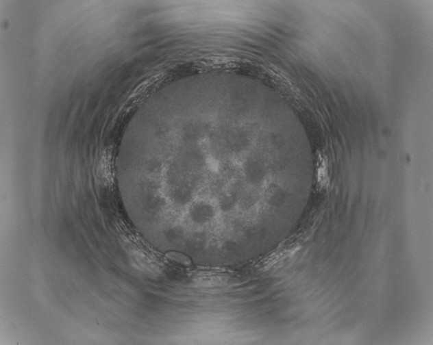 X0000089880819200706281347