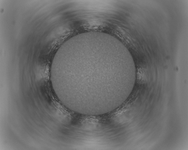 X0000089880820200706281347