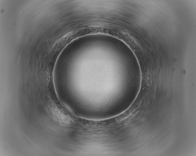 X0000089880821200706281347